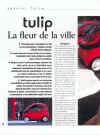 tulipmag2.jpg (88725 octets)